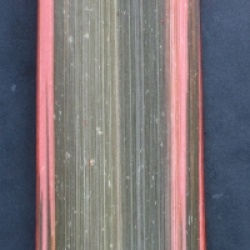 Phormium 'Sundowner'