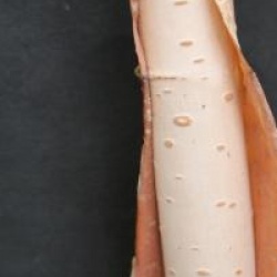 Betula utilis var. jacquemontii  'Silver Shadow'