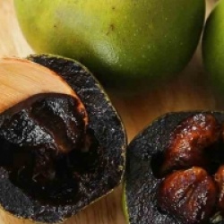 Diospyros digyna - Sapote noire