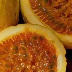 Passiflora edulis var. flavicarpa