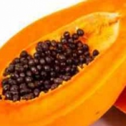 Carica papaya 'Solo'