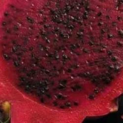 Pitaya rouge, Fruit du dragon