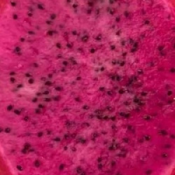 Pitaya rose, Fruit du dragon