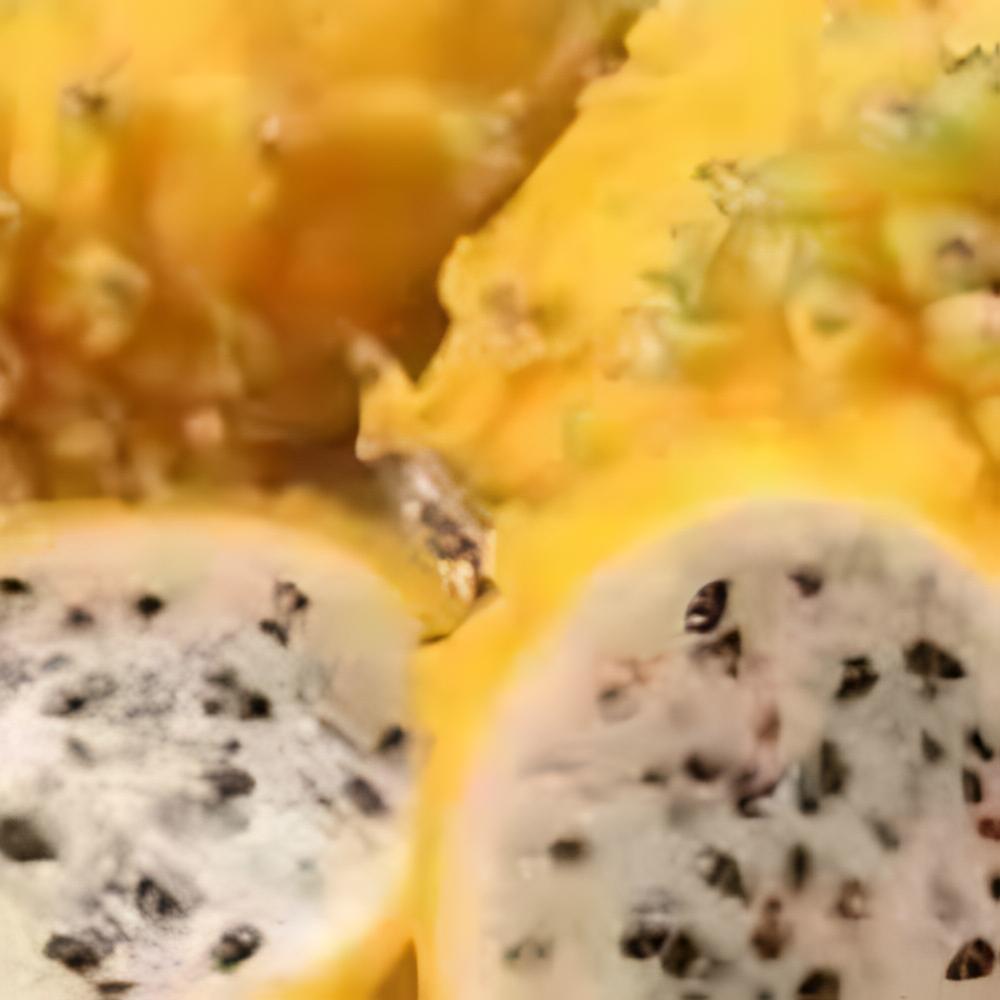 Hylocereus megalanthus - Pitaya jaune, Fruit du dragon