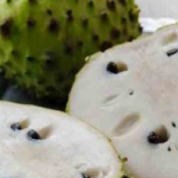 Cherimoya Alboran