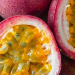 Grenadille jaune Red flamenco