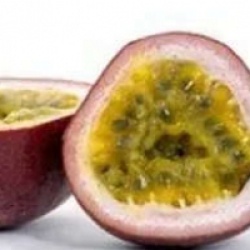 Passiflora edulis 'Moranda'