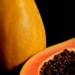 Carica papaya 'Siluet'