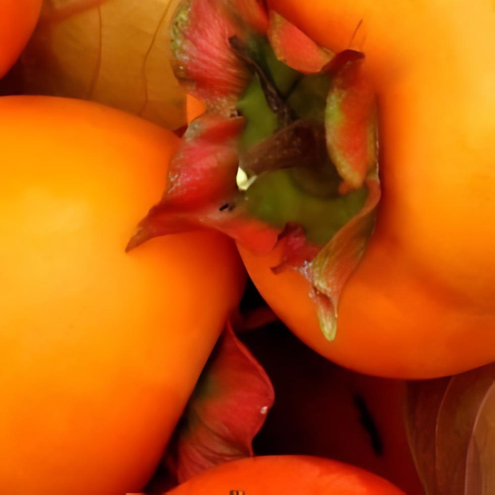Diospyros kaki 'Triumph' Sharon� - Plaqueminier, Kaki Sharon