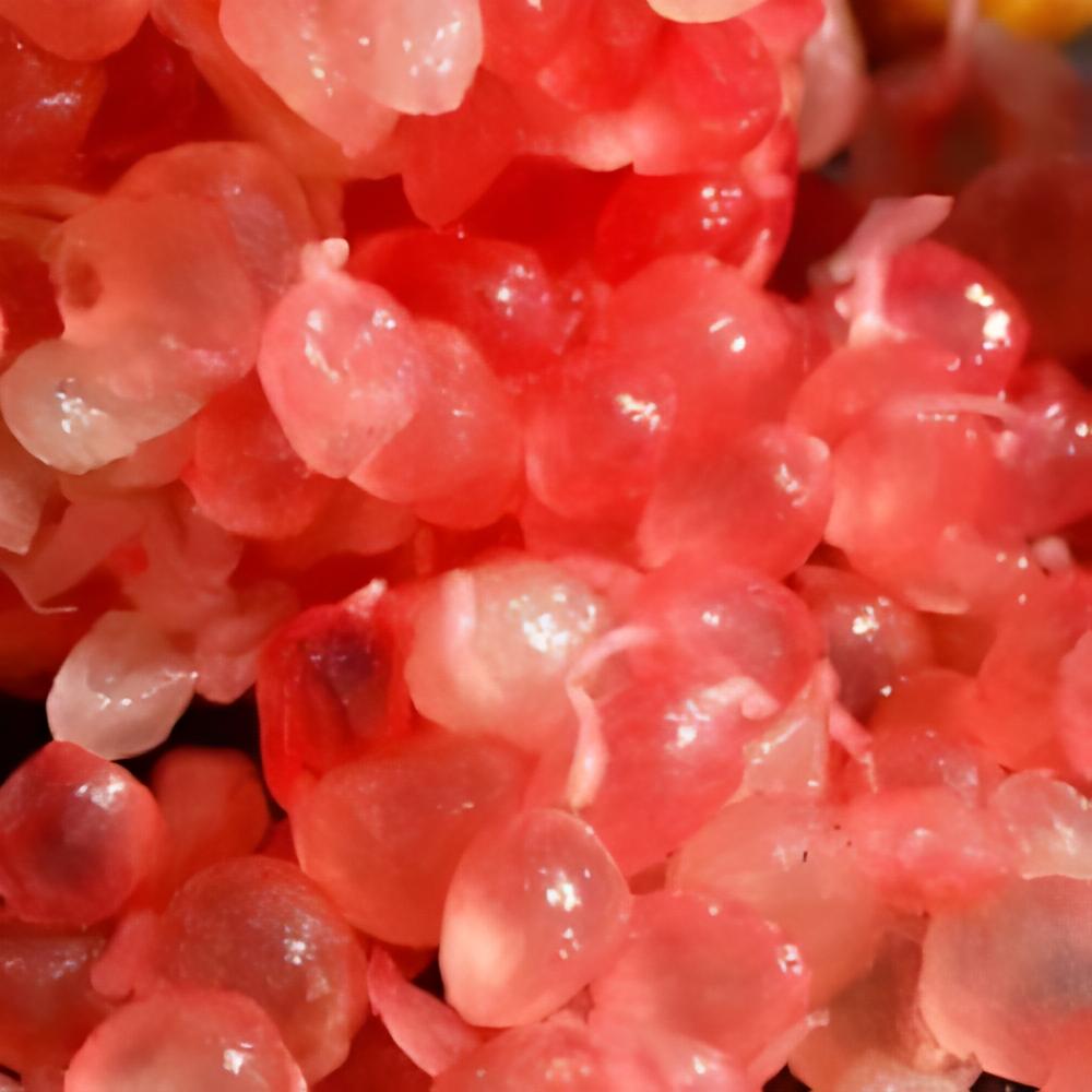 Microcitrus australasica red - Citron caviar � pulpe rouge