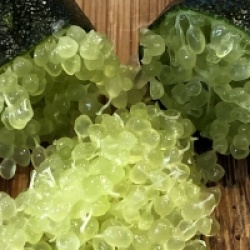 Citron caviar � pulpe verte
