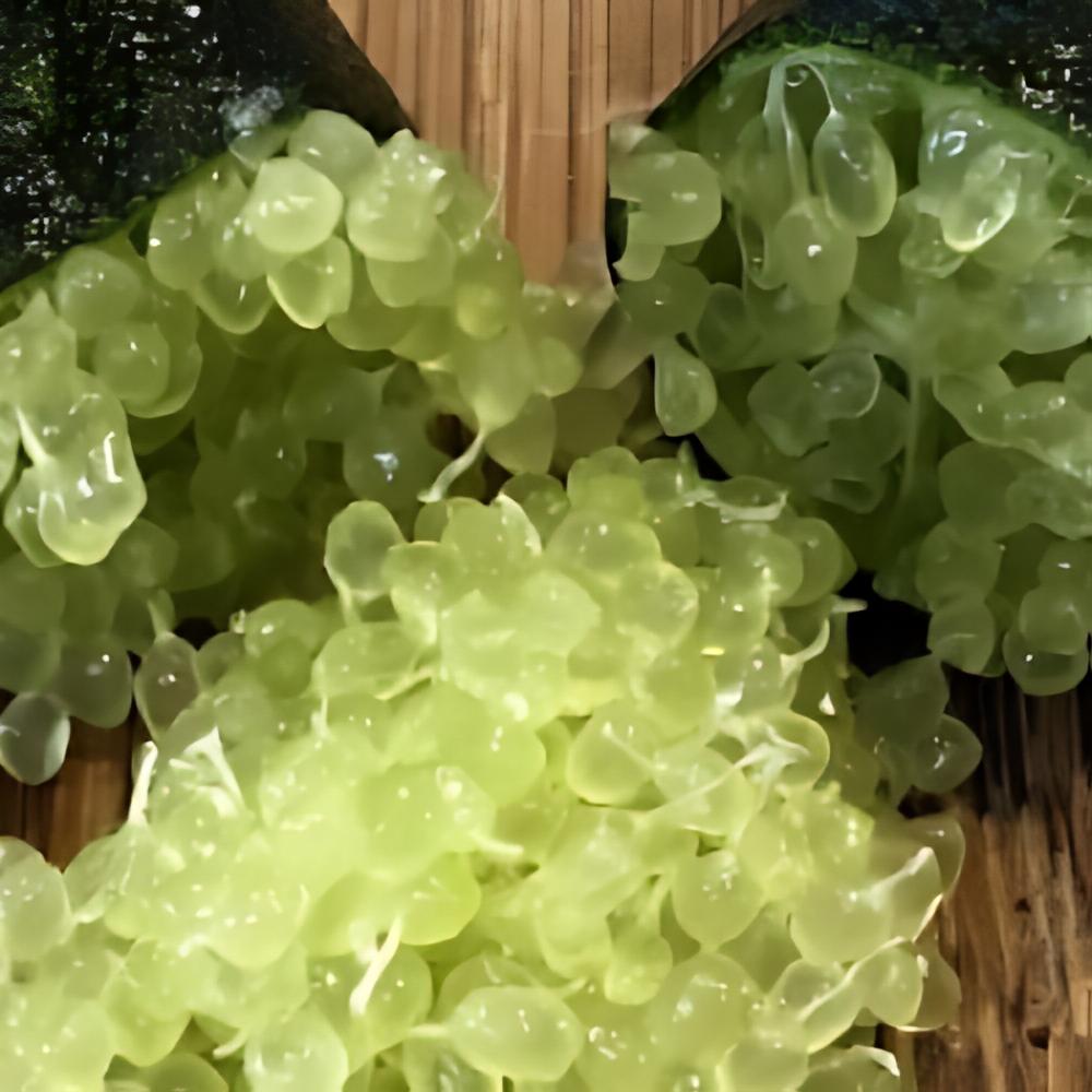 Microcitrus australasica green - Citron caviar � pulpe verte