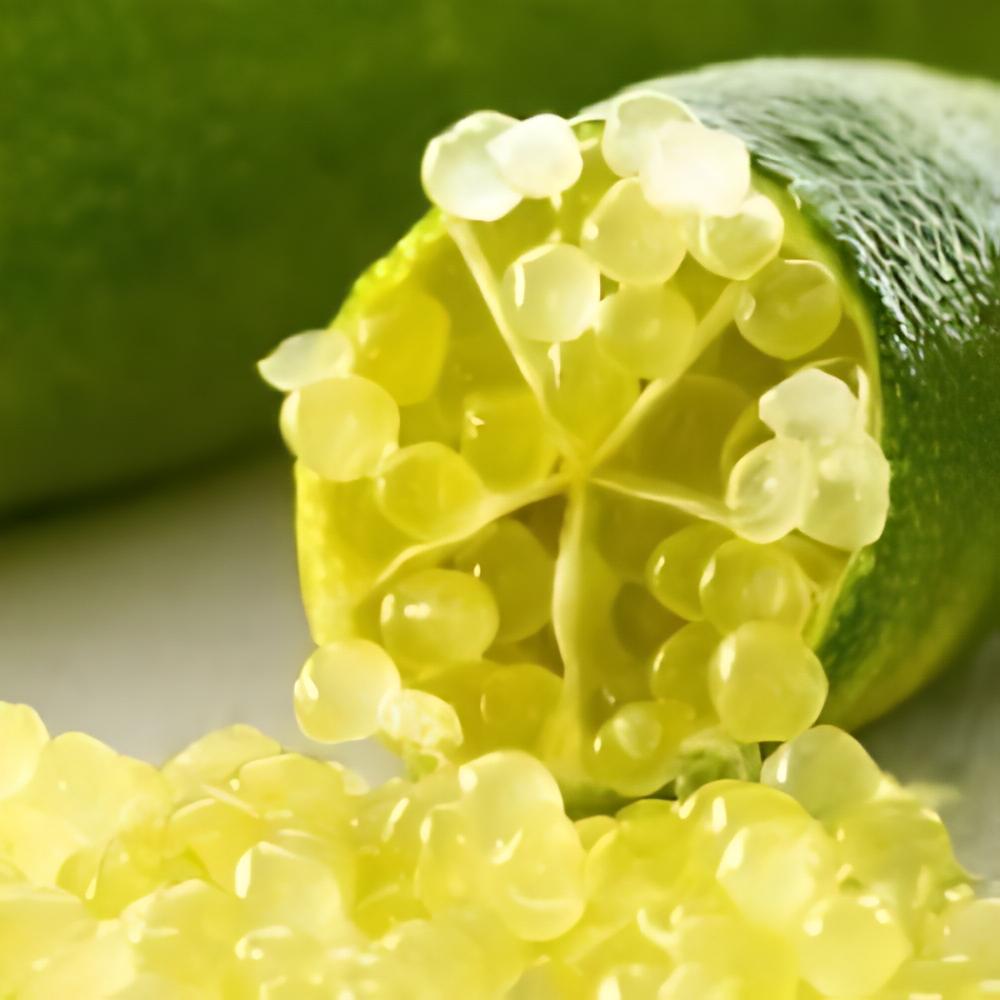 Microcitrus australasica gold - Citron caviar � pulpe or