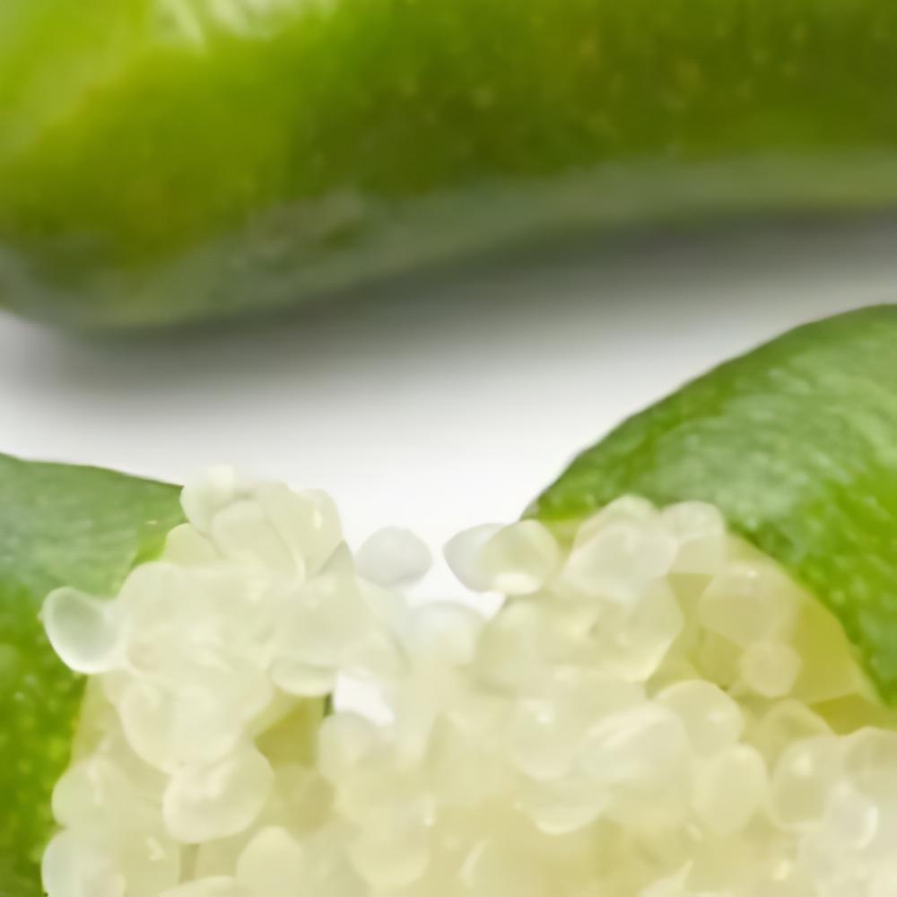 Microcitrus australasica white - Citron caviar � pulpe blanche