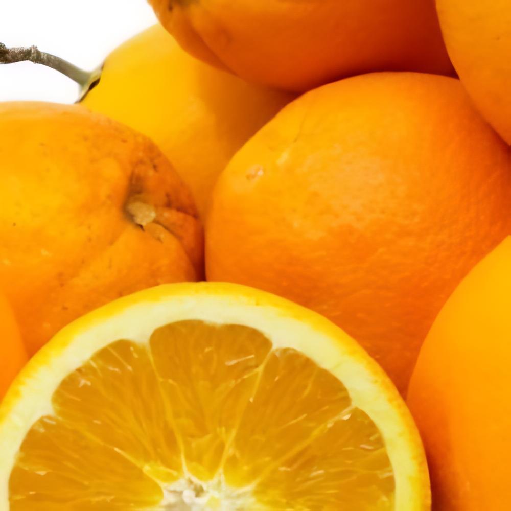 Citrus x sinensis 'Navelate' - Oranger Navelate