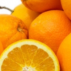 Citrus x sinensis 'Navelate'