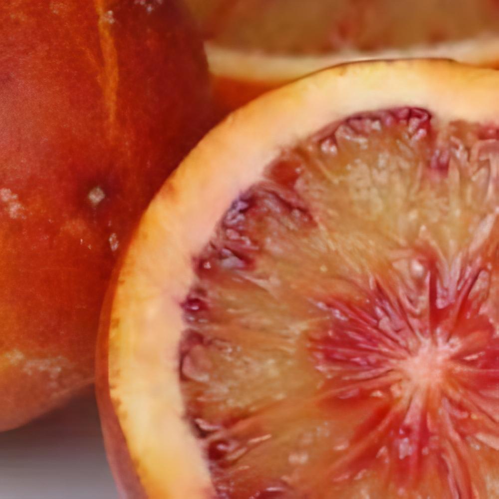 Citrus x sinensis 'Sanguinelli' - Oranger Sanguinelli