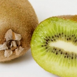 Actinidia deliciosa 'Jenny'