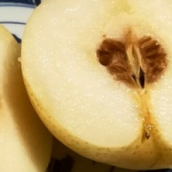 Pyrus pyrifolia