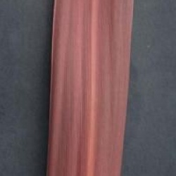 Cordyline australis 'Burgundy Spire'