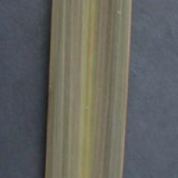 Cordyline kaspar pourpre