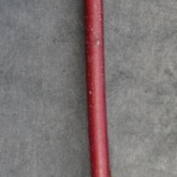 Cornus alba 'Elegantissima'