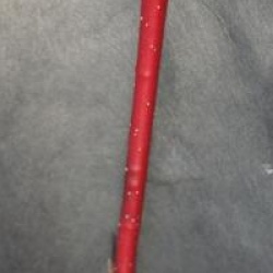 Cornus alba 'Gouchaultii'