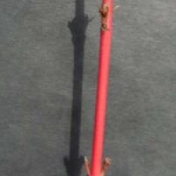 Cornus sanguinea 'Midwinter Fire'