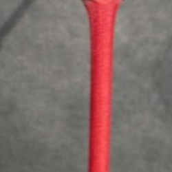 Cornus sanguinea 'Midwinter Fire'