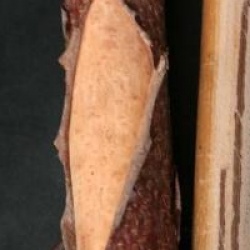 Betula nigra 'Black Star'