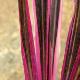 Cordyline Pink Passion