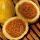 Fruit de la passion, Grenadille jaune