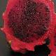 Pitaya rouge, Fruit du dragon
