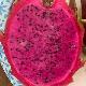 Pitaya rose, Fruit du dragon