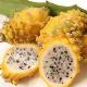 Pitaya jaune, Fruit du dragon