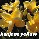 Frangipanier Kanjana Yellow