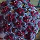 Hoya pubicalyx royal hawaiian purple