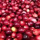 Canneberge, Cranberry � gros fruits